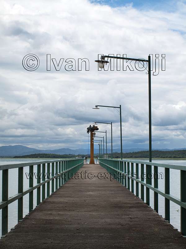 Presa Ing. Carpoforo Olivares Sosa